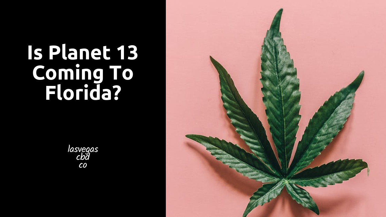 Is Planet 13 coming to Florida?