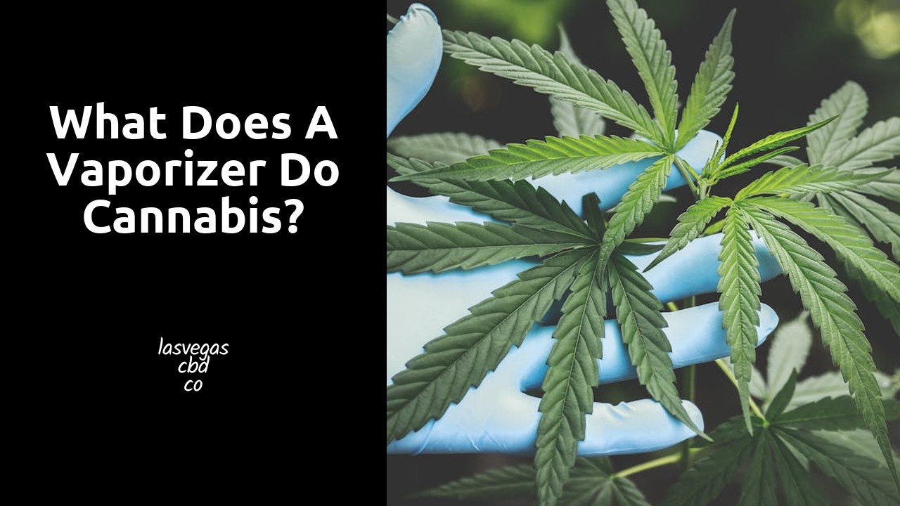 What does a vaporizer do cannabis?